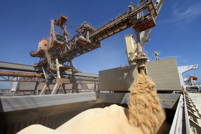 Exportações de soja do Brasil devem crescer 21% em julho