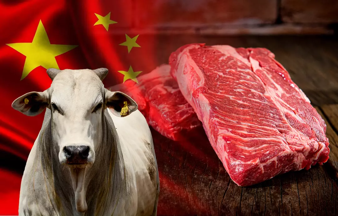China atinge maior compra externa de carne bovina da história