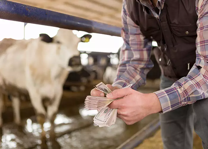 Inadimplência atinge 7% da população agro no 1° trimestre de 2024, aponta Serasa
