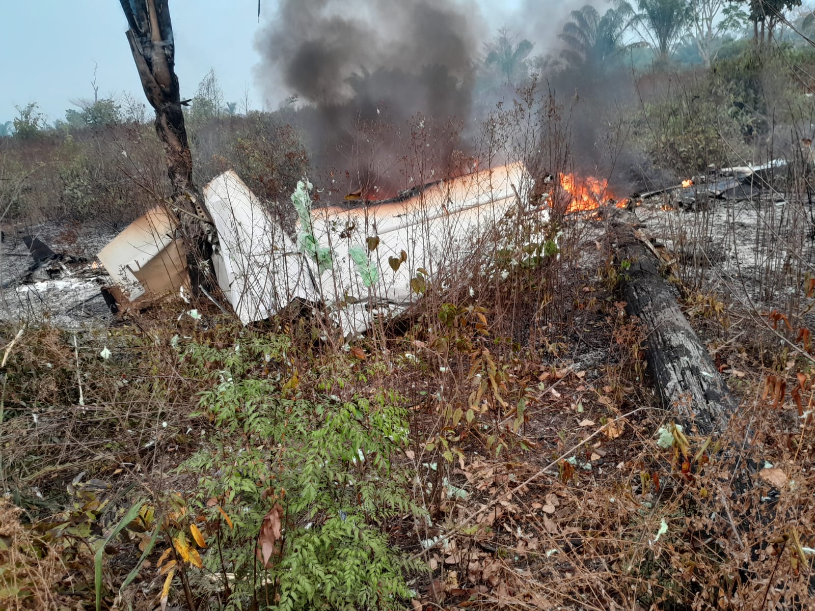 Avião que caiu em área de mata em Mato Grosso explodiu na queda
