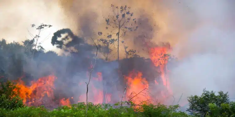 Em chamas: fumaça da Amazônia e Pantanal já chega ao Sul do país