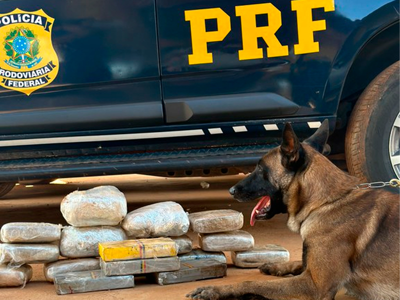 Ação da PRF Resulta na Apreensão de Cocaína e Skunk em Poxoréu