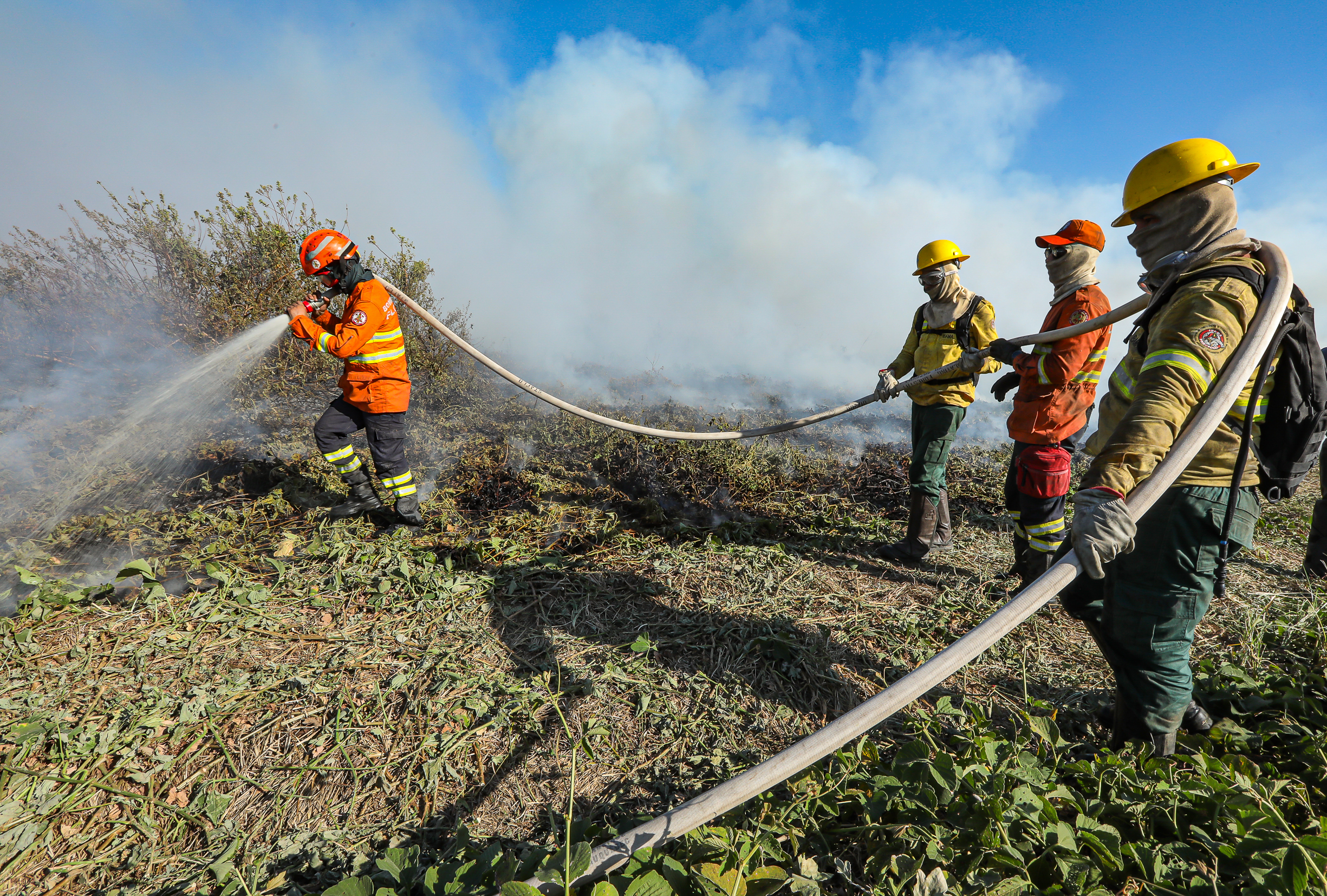 Operação integrada resulta na redução de 12% da área atingida pelo fogo no Pantanal mato-grossense