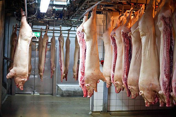 Carne suína bate recorde em setembro com alta de 15,9%