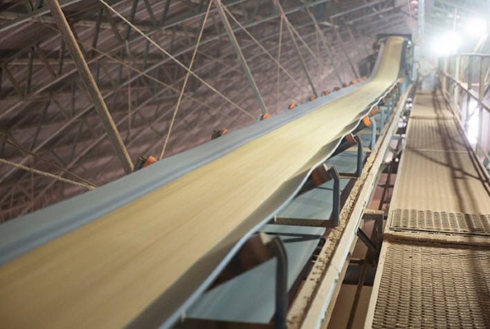 Mato Grosso bate recorde no esmagamento de soja em 2024