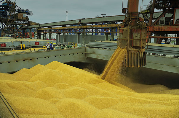 Brasil e mais 16 países contestam lei europeia anti desmatamento e pedem mais diálogo