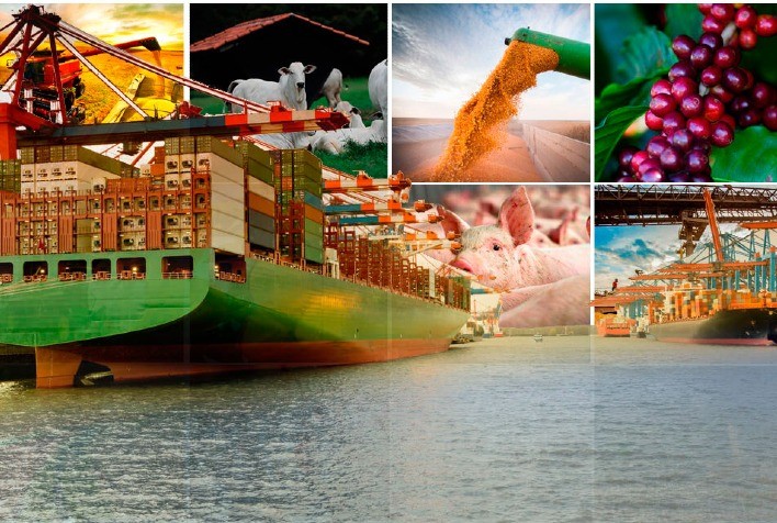 Brasil conquista 270 novos mercados em 61 países e fatura R$ 975,54 bilhões em um ano