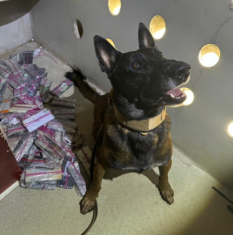 Operação integrada apreende 141 porções de entorpecentes e 124 celulares na Penitenciária de Rondonópolis