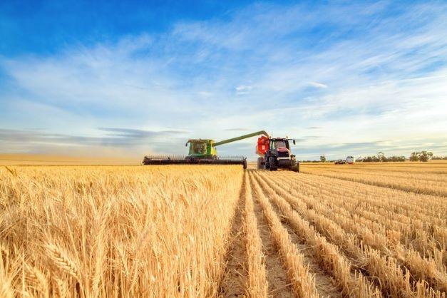Em outubro, exportações do agro brasileiro batem recorde e alcançam US$ 14,27 bilhões