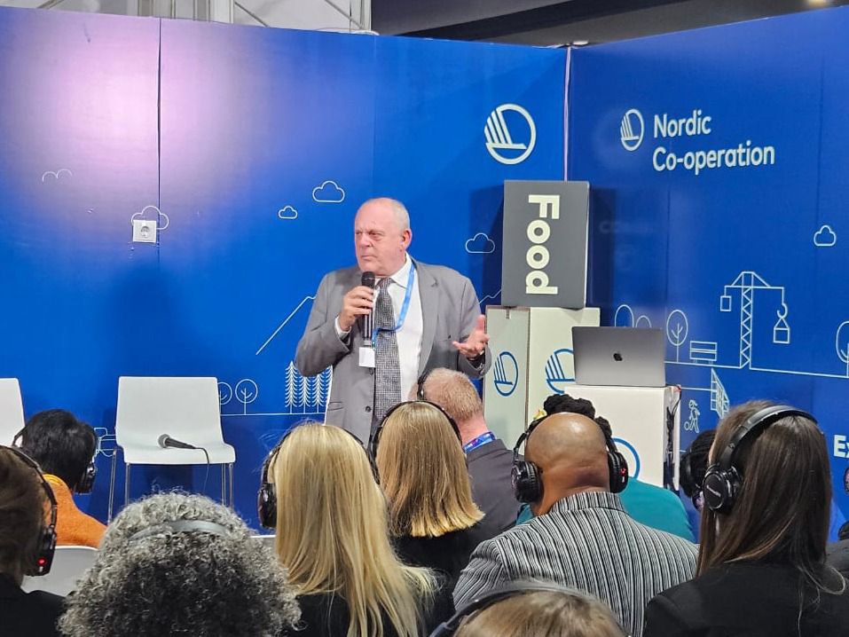 Brasil prevê recuperar 40 milhões de hectares de pastagens degradadas